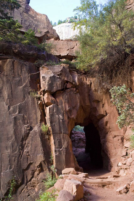 the tunnel